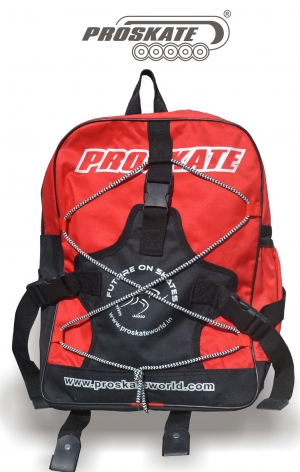 Manufacturers Exporters and Wholesale Suppliers of Proskate Sky Bag Karnal Haryana